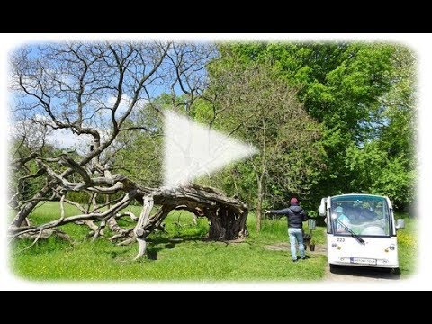 SDH Údavy - Kroměříž 2019, jízda Podzámeckou zahradou