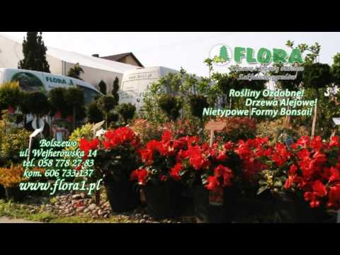 Flora Bolszewo  www.flora1.pl