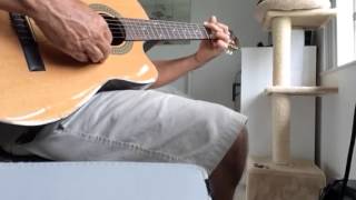 Video thumbnail for Lucero LC 200 SCE by Bionic Fly