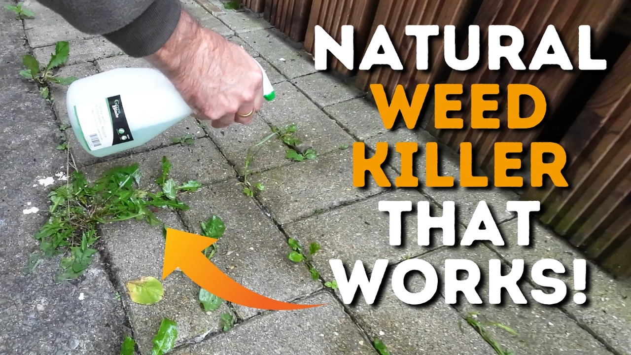 Homemade Weed Killer (Really Effective & Really Cheap!)