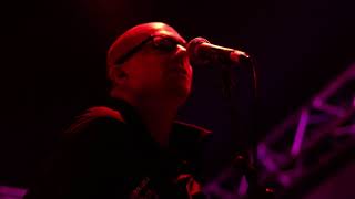 The Blind Shake en Surforama 2017