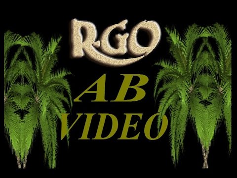 R GO 423 66 FELÉ  SK