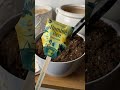 Let S Plant A Modern Sprout Seed Pop