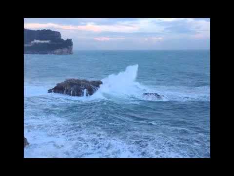 Bach Cello Suite No.1 _ Alex Cerb _ A New Vision