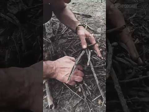 El fuego secreto de Fray Marcos