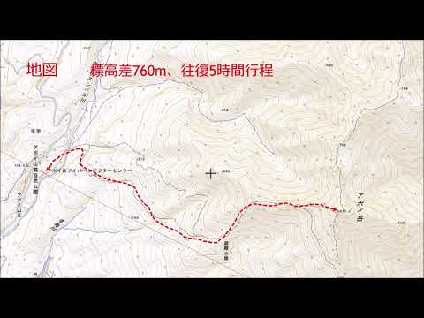 ハイマツ、ハイマツ 植物