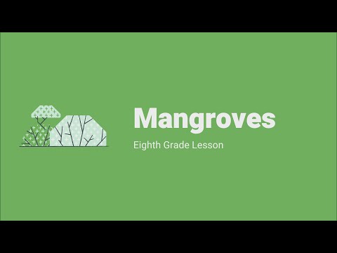 Mangrove Lesson and Presentation from Keep Charlotte Beautiful