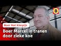 Boer Marcel in tranen door zieke koe