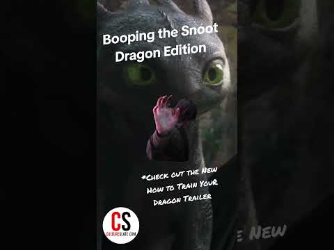 Dragon, But The Snoot Still Must Be Booped