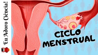Ciclo Menstrual