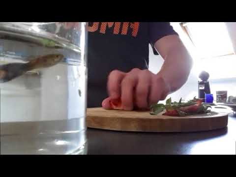 meelman - VBT 2018 - VR1 vs DropzRapz (prod. BrostarBeatz)