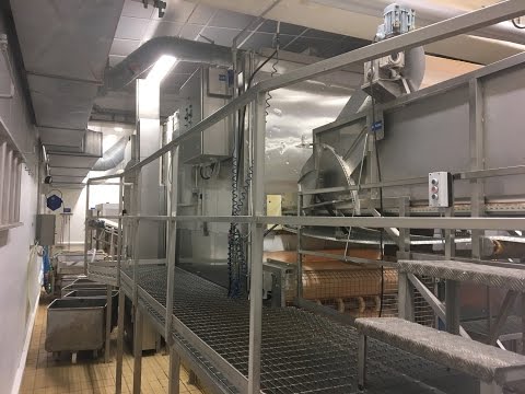 Frigoscandia flow freezer