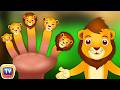 Lion Finger Family ChuChu TV Animal Finger Family Songs Nursery Rhymes Fingerfamily