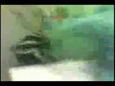 Killer Instinct Makes Everything Better: Angry Teacher