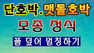 [텃밭농부. 1,034]  단호박. 맷돌호박 모종정식하고 풀 뜯어 멀칭 #단호박재배 #맷돌호박재배