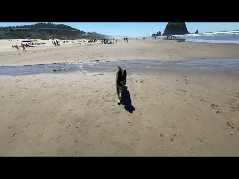 Cava at Cannon Beach, Oregon