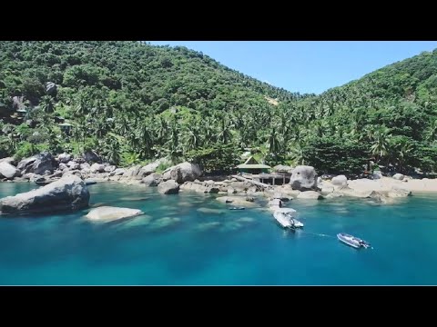 Nature in 4K Video Beautiful Sceneries Sea and Mountains with Trees