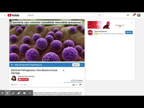 (11) Bacterial Pathogenesis: How Bacteria Cause Damage