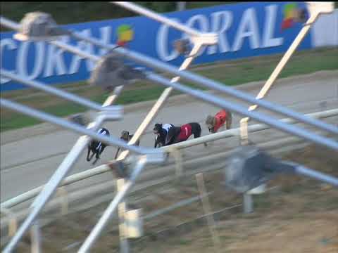 Deanridge Boffin Coral Sussex Cup 2nd Semi Final