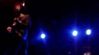 Albert Hammond Jr.- Everyone Gets a Star