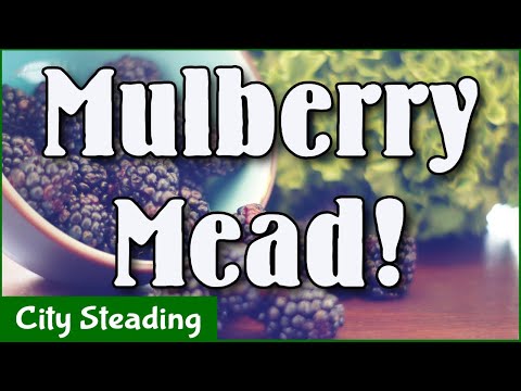 How to make Mulberry Mead : Morat