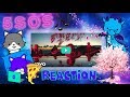 Diana's Reaction To 5 Seconds Of Summer Lie To Me Music Video (Acoustic Version) Diana's Reaction To 5 Seconds Of Summer Lie To Me Music Video (Acoustic Version)
