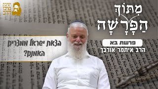 הרב איתמר אורבך | בצאת ישראל ממצרים - האמנם? | פרשת בא | ד' שבט תשפ"ו | ישיבת מרכז הרב (ישיבת מרכז הרב) - התמונה מוצגת ישירות מתוך אתר האינטרנט יוטיוב. זכויות היוצרים בתמונה שייכות ליוצרה. קישור קרדיט למקור התוכן נמצא בתוך דף הסרטון