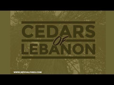 Destiny Pointe Church | Cedars of Lebanon | Dr. Tim Todd