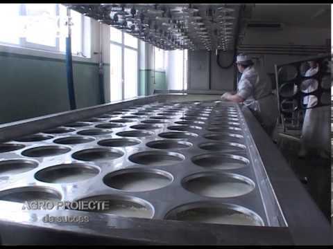 REPORTAJ VIDEO - In lumea branzeturilor