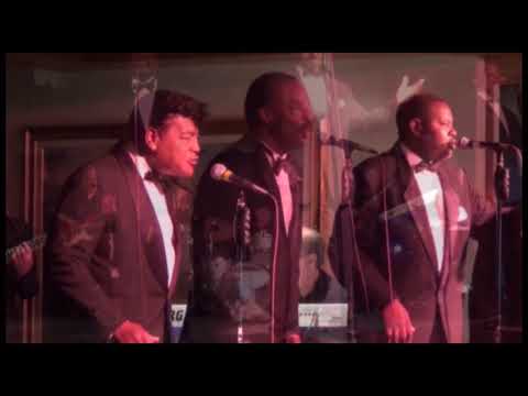 Tommy Vale with The Edsels Rockin' Robin