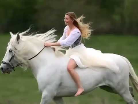 Beauty Girl ❤️🎶(Italo Disco Korg Style ❤️🎶🎹🎵💕💕(Mix Music)🎶💕🎵