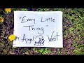 Every Little Thing by Angel Pam West