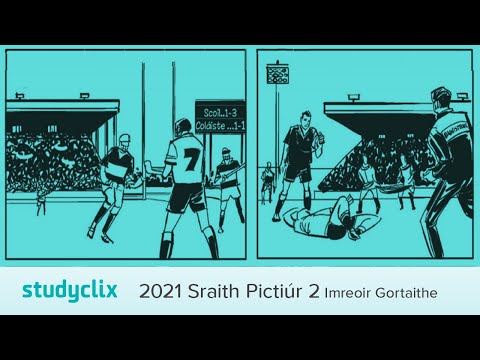 2021 Sraith Pictiúr 2 - Imreoir Gortaithe