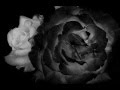 In Search Of Beauty - Beauty 