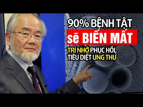 Tiết Lộ từ CÁC BÁC SĨ GIÀ NHẤT NHẬT BẢN : Chỉ Ăn Những Thứ Này Bạn Sẽ Sống Đến 100