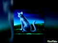 Коты- воители жизнь Синей Звезды 