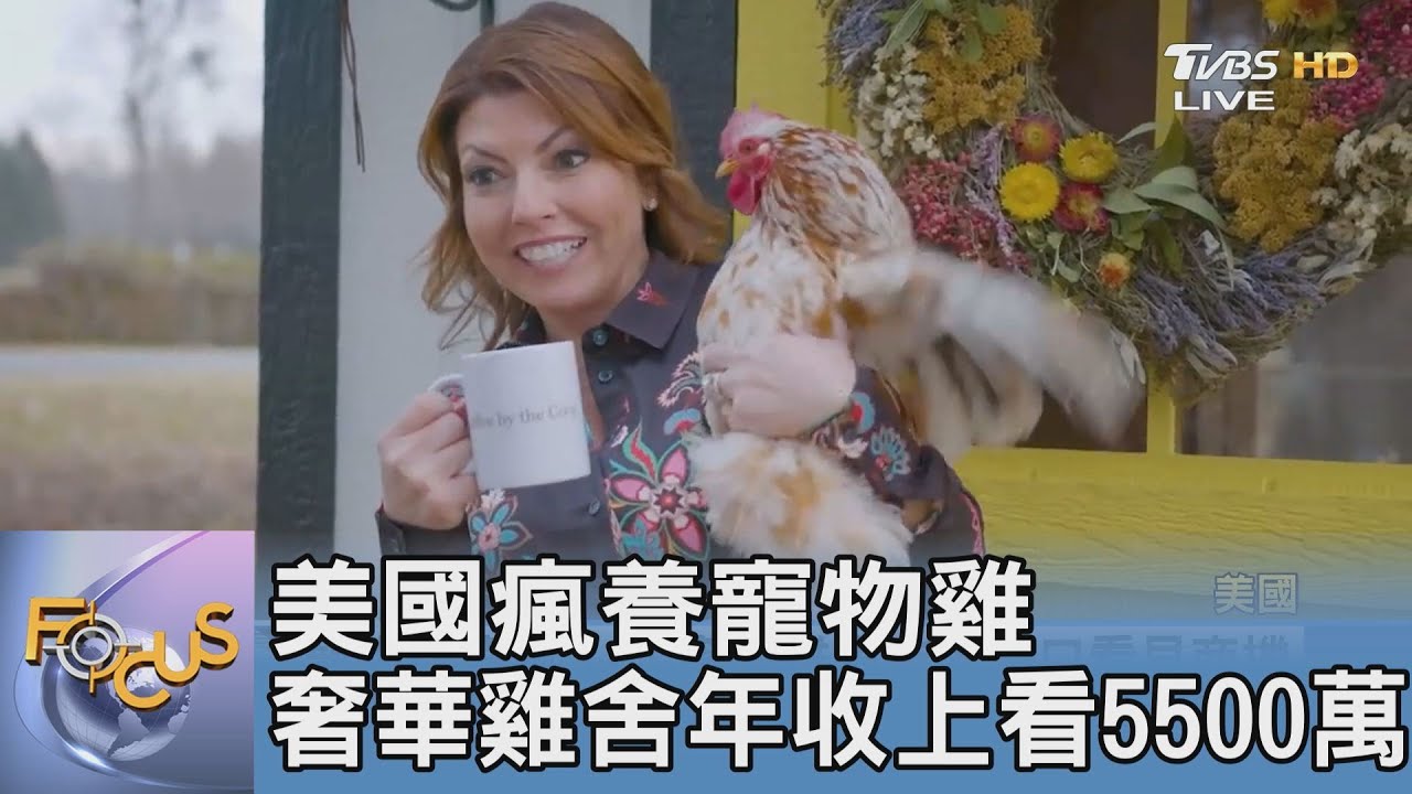 美國瘋養寵物雞 奢華雞舍年收上看5500萬