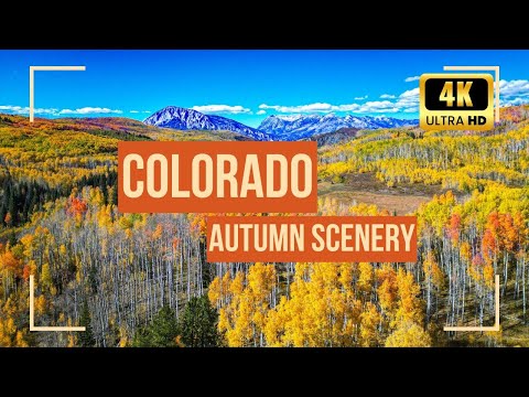 Soaring Over Colorado's Most Breathtaking Fall Colors in 4K