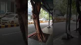 Unloading MAKATI MED @uningtvactionclips5590