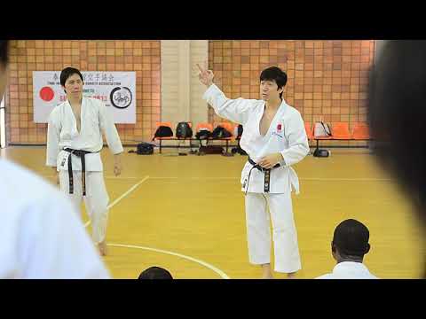 Siam Camp 2013 part 3 : bunkai Chinte kata - Naka Sensei