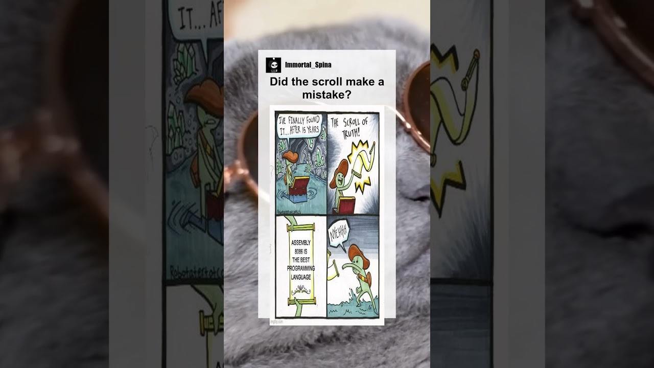 Did the scroll make a mistake? #memes #meme #memesdaily