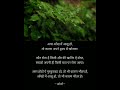 Osho Quotes कौन रोता है किसी और की खातिर ऐ दोस�