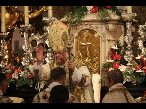 MISSA PONTIFICALIS 2014 (cardinalis Burke, Vienna)