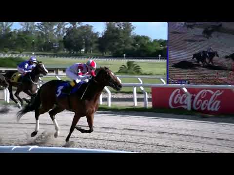 221216 c07 - AFRICAN QUEEN - HIPODROMO LAS PIEDRAS