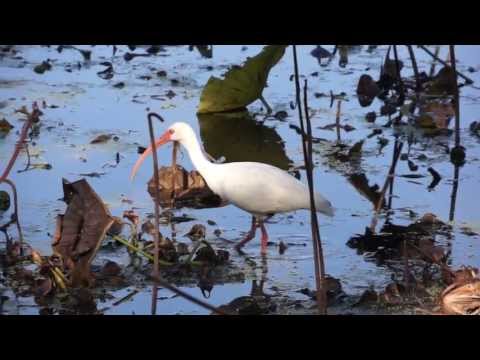 2013 10 October 08 Brazos 1