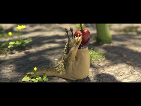 1.miesto Animofest 2025 - Škodci