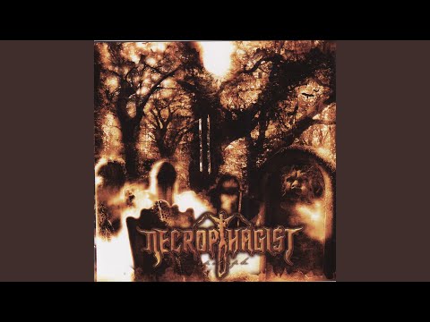Download Necrophagist - Diminished To B MP3