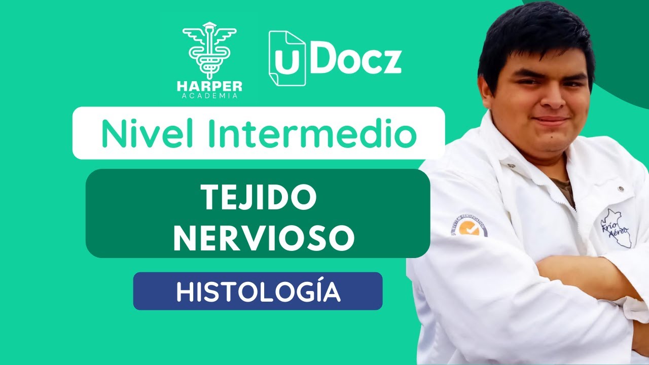 Tejido nervioso con Harper Academia & uDocz 📚