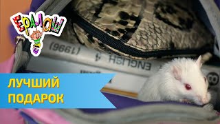 Ералаш №304 - Лучший подарок