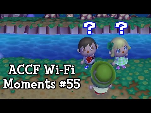 ACCF - Wi-Fi Moments #55 (Animal Crossing: City Folk)